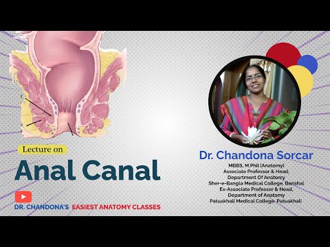 Lecture On Anatomy Of The Anal Canal