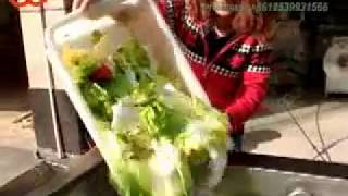 Vegetable Washing Machine For Commercial|Best Vegetable Cleaning Machine