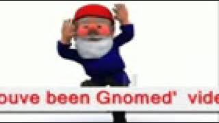 gnome funny meme  haha