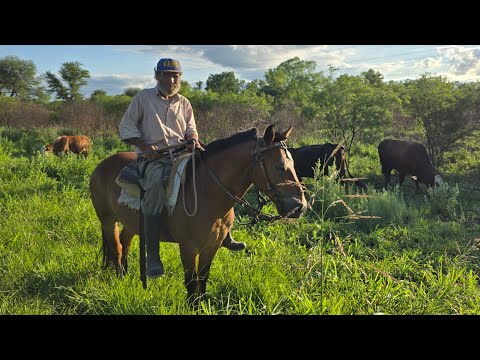 MONTE ADENTRO/ Gran Chaco americano 2026