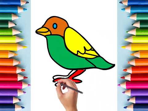 تعليم الرسم للاطفال : رسم عصفور ـ ارنب ـ سيارة | بيبى ستار | how to draw a bird, rabbit a nd car هنا hana