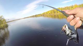 Graphiteleader rivolta gris 772 m