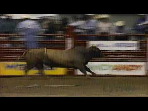 Cujo bucks Royd Doyal - 96 PBR San Antonio