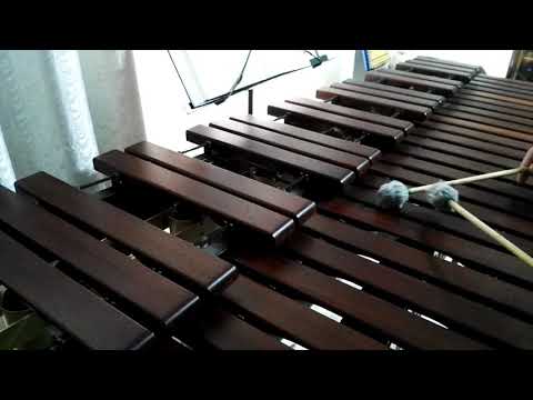 Inni di lode N°446: Viver sempre col Signore Marimba Cover