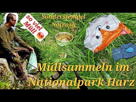 Rings um, den Hohnehof - Müllsammeln im Nationalpark - Wandern im Harz - Harzer Wandernadel -