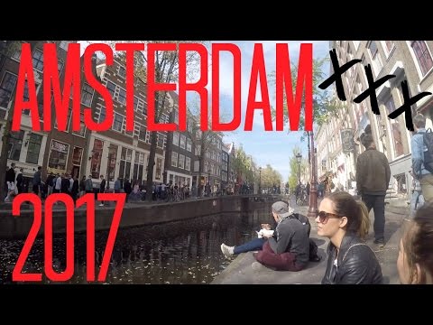 MUSIC ON FESTIVAL // AMSTERDAM