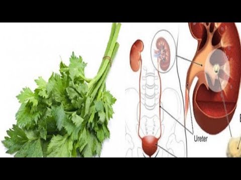 Merangsang herbal dan obat-obatan Tetes untuk meningkatkan potensi tornado
