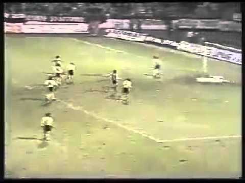 Zvezdin put do vrha Evrope (Bari 1991)