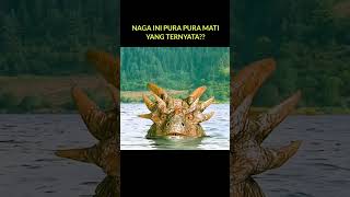 Download lagu BEKERJA SAMA DENGAN NAGA UNTUK MENGELABUI PENDUDUK DESA‼️#alurceritafilm #film mp3 Download lagu BEKERJA SAMA DENGAN NAGA UNTUK MENGELABUI PENDUDUK DESA‼️#alurceritafilm #film mp3