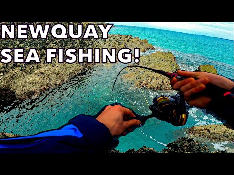 Sea Fishing in NEWQUAY, CORNWALL! 🌊 (4K)