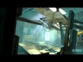 Vídeo de jugabilidad de Portal 2  PC