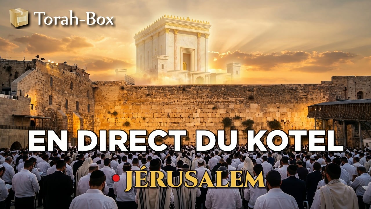 EN DIRECT DU KOTEL 🛑 JÉRUSALEM - LES DERNIERS INSTANTS DE TICHA BEAV