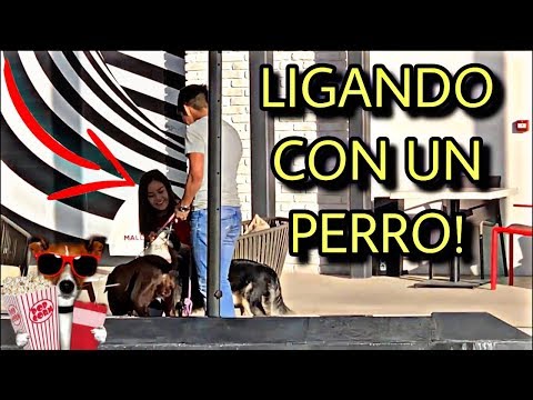 LIGANDO MADURAS CON UNOS PERROS *tienes que verlo* || THE PAPS