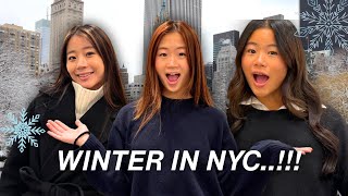 Download lagu SPEND THE ULTIMATE CHRISTMAS DAY WITH US IN NYC *vlog!* mp3