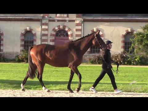 MADMOISELLE DELACENSE