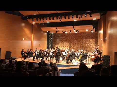 ORQUESTRA SINFÔNICA USP