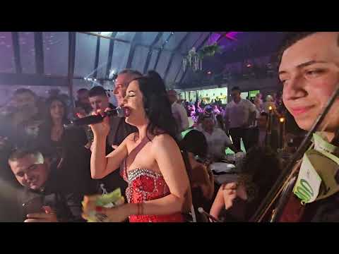 ZORANA MICANOVIC - RODJENDAN UZ PESMU POZURI DRAGANE- BAKSISA 2000€ JOCA PIROMANAC