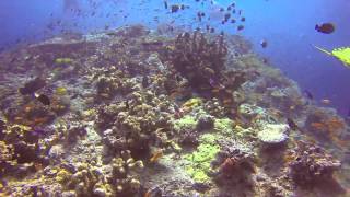 preview picture of video 'Scuba Diving in Fiji abord the Naia'