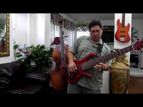 Classic Bass Works 7-string bass