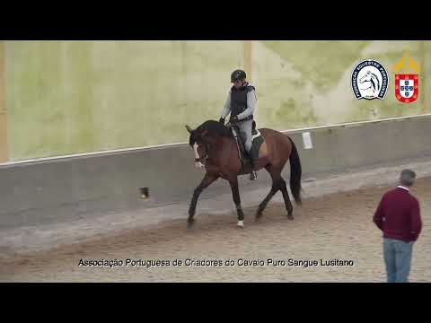 220428 5 Proj Ensino APSL&FEP - Gilberto Filipe com Nectar Plus