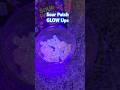 New Sour Patch Glow Ups Experiment Candy Candyopeningvideo