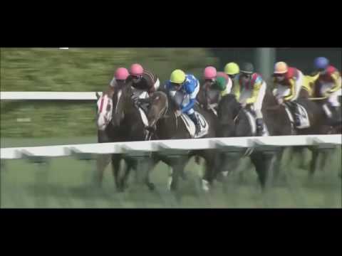 Tokyo Yushun 2015 (Japanese Derby) Duramente