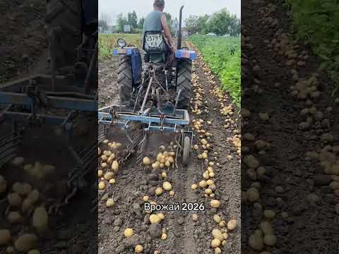 КАК ВАМ УСТАНОВКА ДЛЯ КАРТОШКИ?🌾#агро#трактор