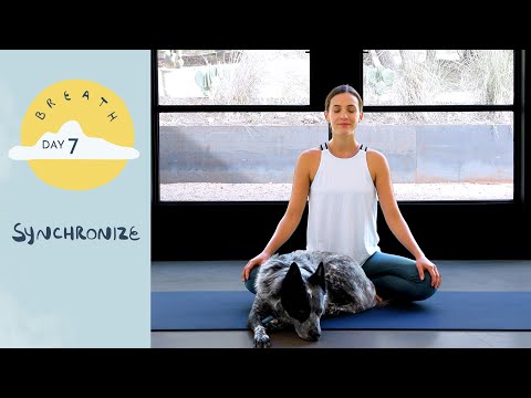 Breath A 30 Day Yoga Journey Yoga With Adriene