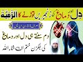 Dil Or Dimag Ki Zanjeeren Torne Ka Dam Ruqyah Shariah Hafiz Ali Irshad Official