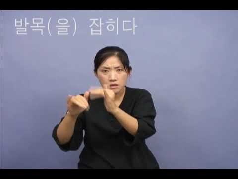 「발목까지」의 한국수어 표현