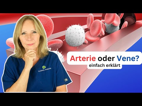 Arteries, veins & capillaries: Differences explained simply | Dr. Claudia Bignion