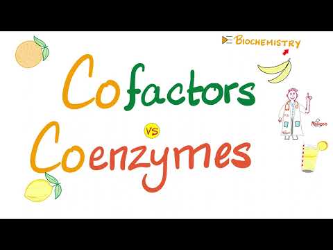 Coenzymes vs. Cofactors - What’s the difference? - Diet and Nutrition - Biochemistry Series