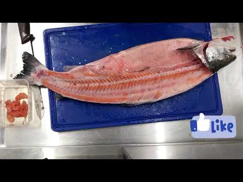 Quick break-down whole salmon ( salmo salar ) Atlantic salmon - #sumoramenya