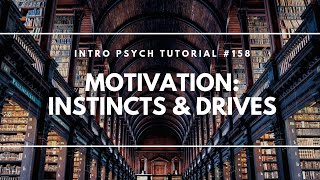 Motivation - Instincts & Drives (Intro Psych Tutorial #158)