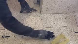 How to use Mobile Vacuum Lifter