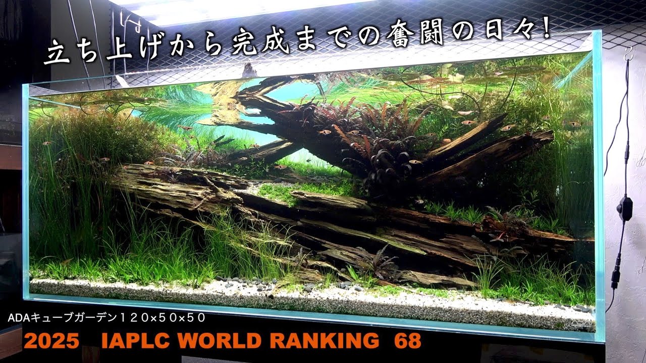 IAPLC 2025  立ち上げから完成までの奮闘日記 68位 入選作品