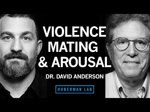 The Biology of Aggression, Mating, & Arousal | Dr. David Anderson
