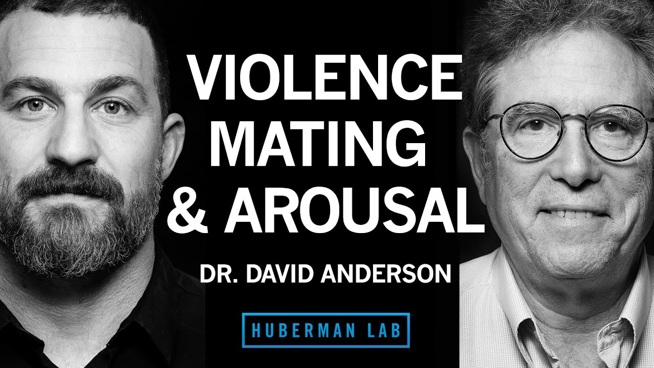 Dr. David Anderson: The Biology of Aggression, Mating, & Arousal | Huberman Lab Podcast #89