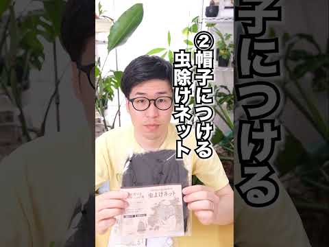 庭用の干し柳 植物