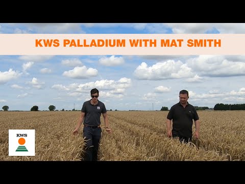 KWS Palladium with Mat Smith