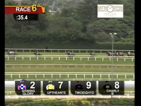 11 JANUARY 2014  RACE 6
