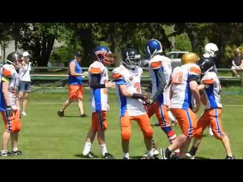 Touchdown Przemyśl Bears, Hubert Brodzicki #3