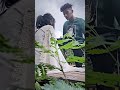 Boy Attitude Status Fokat Ki Attitude Mujhe Na Dikhao New Status Official Status Boy Attitude
