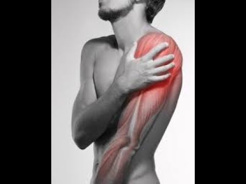 Joao Carlos Schleder-1