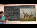 IV Standard Science The World Of Animals Part 2