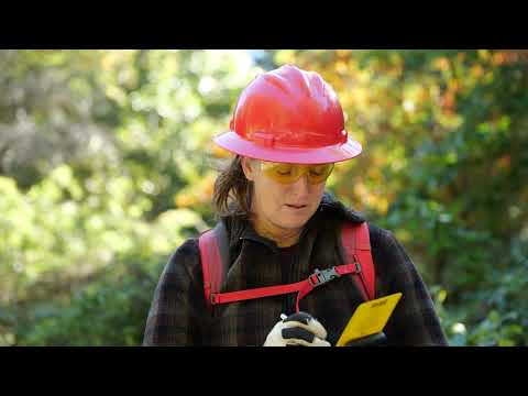 Facilities Inspection