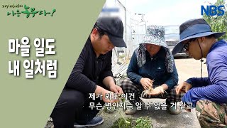 [뜨거운 농부 재성 씨, 부농의 탄생] 함께 하는 농가 모두가 풍요로워지는 길을 찾는 중~