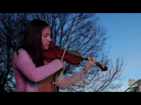 Celso MACHADO, Musique populaire brésilienne, Sambossa
