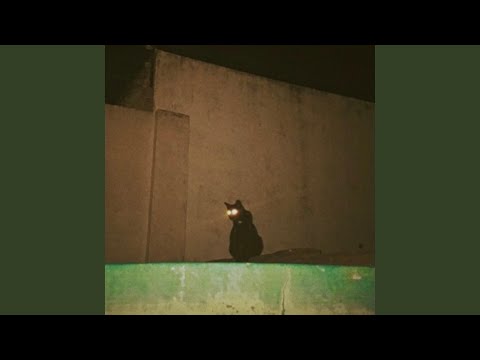 Little Kitty On A Roof - Isabella Bates