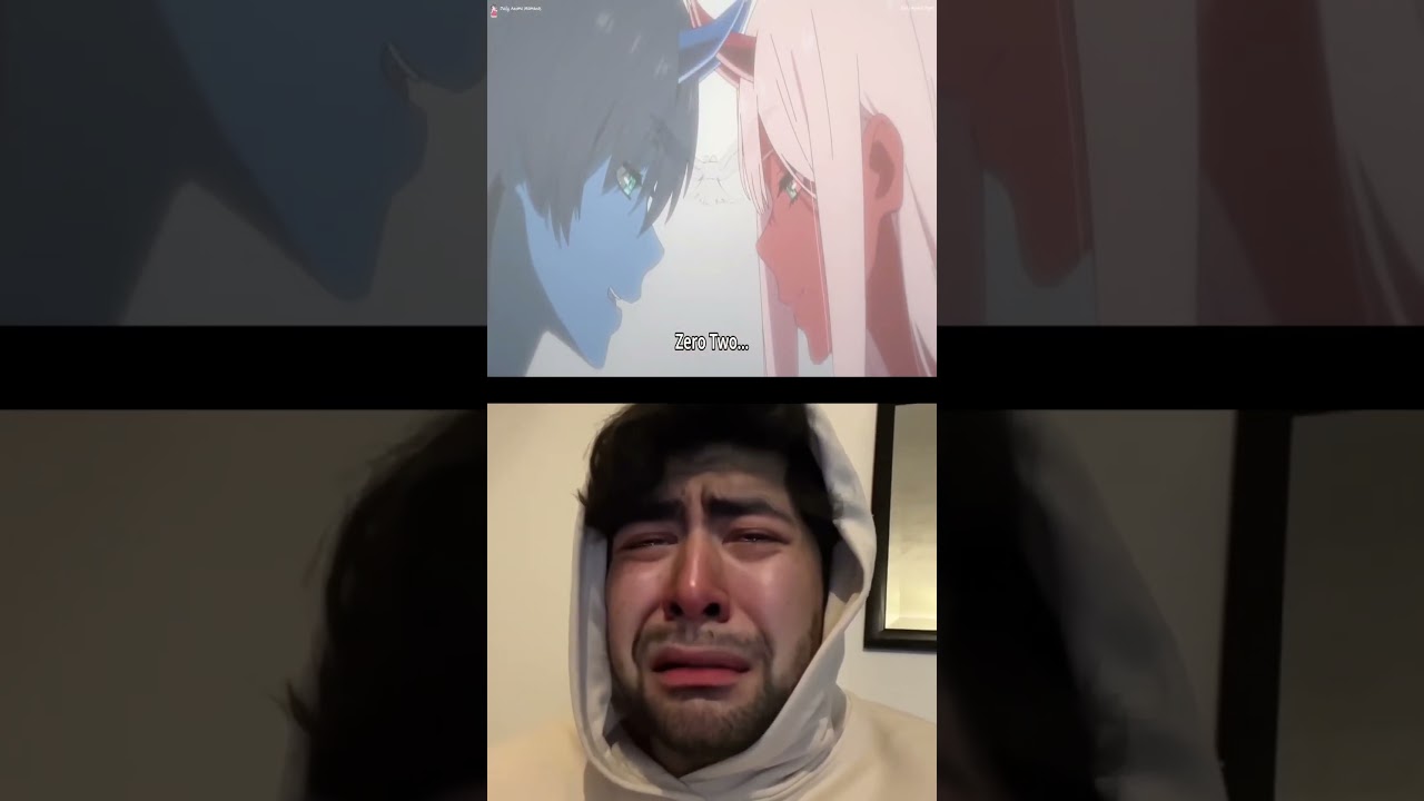 Zero Two and Hiro death | Oogway's crying meme